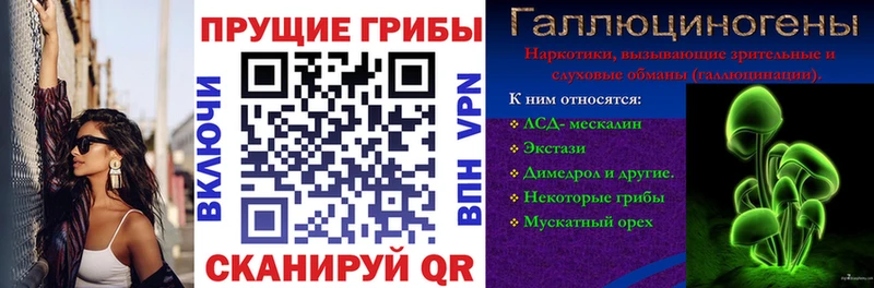 Псилоцибиновые грибы Psilocybe  Купить где  Лиски 